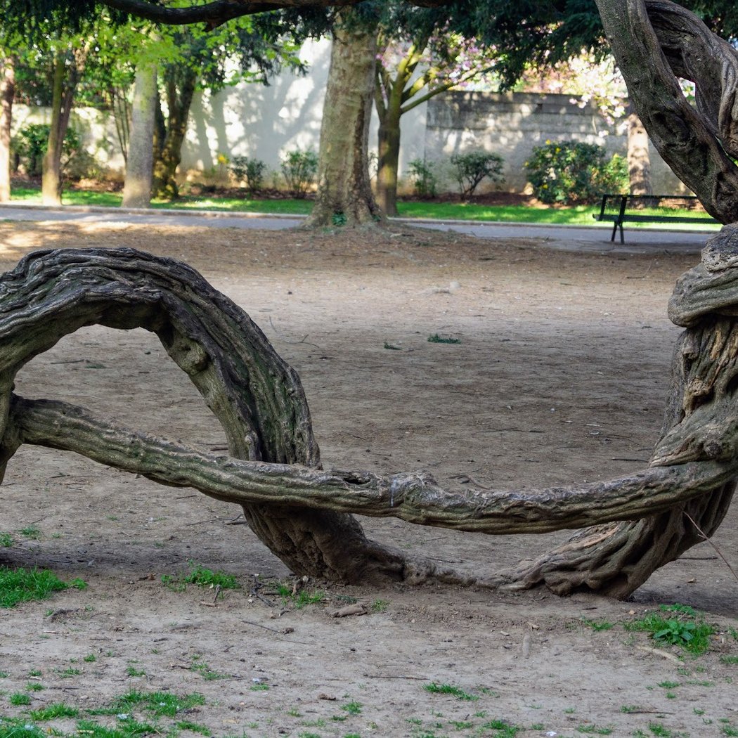 Lilac Park 1
